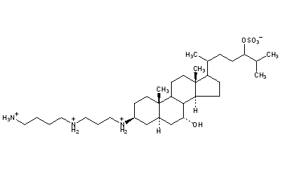 Squalamine